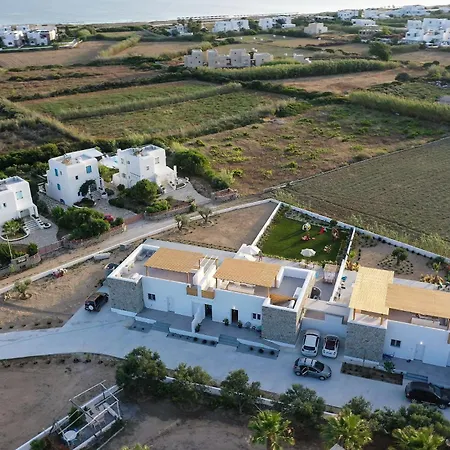 Olives Seaside No 2 Pláka